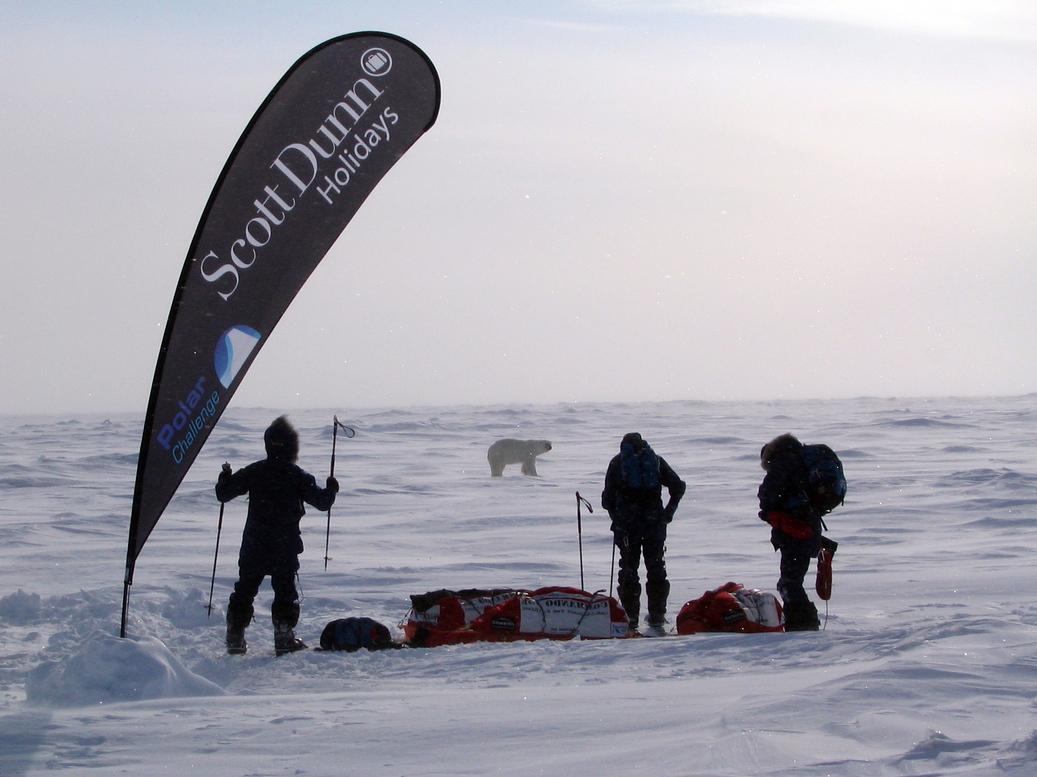Zwei Personen im Schnee mit Ausrüstung, während ein Bär in der Ferne sichtbar ist. Ein Banner mit der Aufschrift 'Scott Dunn Holidays' weht im Wind.